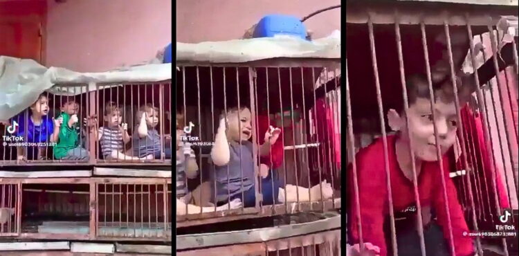 Children in cages kidnapped by Hamas? We analyse a popular video