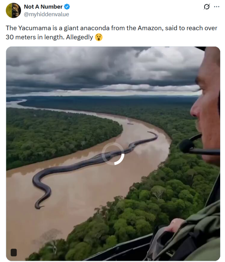The mythical Yacumama snake does not swim in the waters of the Amazon River