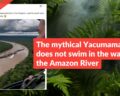 The mythical Yacumama snake does not swim in the waters of the Amazon River