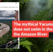 The mythical Yacumama snake does not swim in the waters of the Amazon River