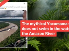 The mythical Yacumama snake does not swim in the waters of the Amazon River