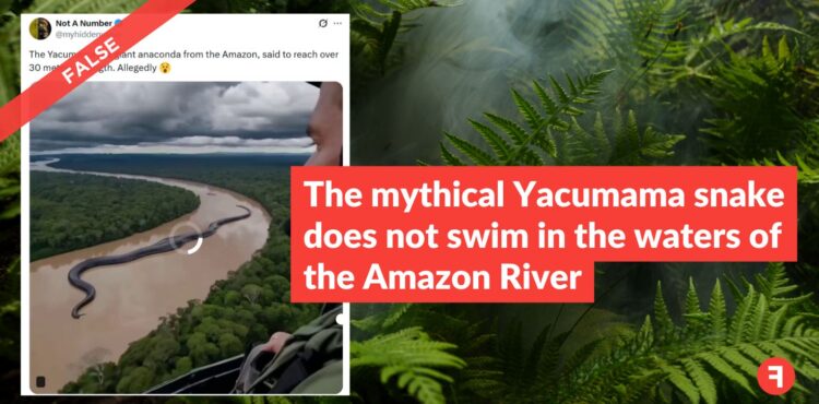 The mythical Yacumama snake does not swim in the waters of the Amazon River