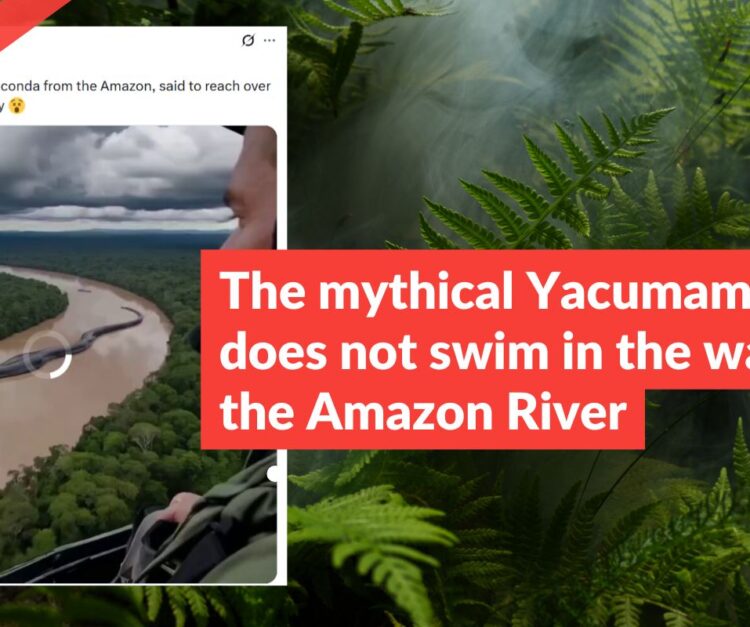 The mythical Yacumama snake does not swim in the waters of the Amazon River