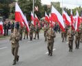 Rosyjskie trolle wzięły na cel Wojsko Polskie