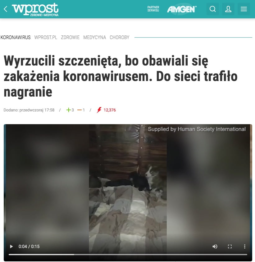 Koronawirus u psa i kota