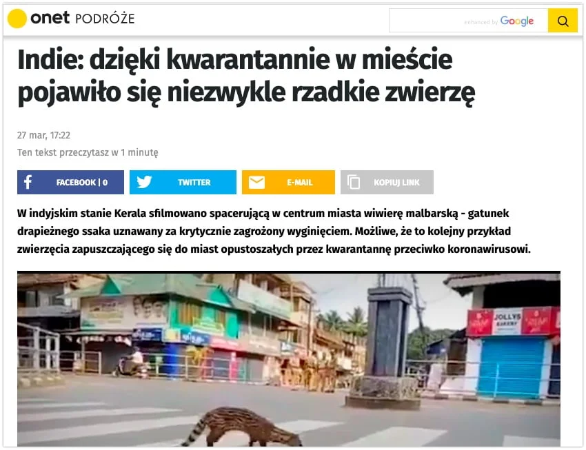 gatunek uznany za wymarły - wiwiera malbarska
