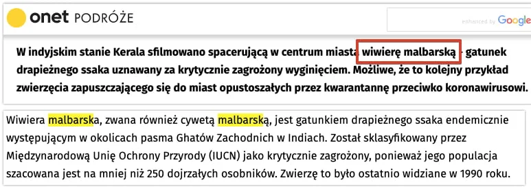 onet - wiwiera malabarska - gatunek uznany za wymarły