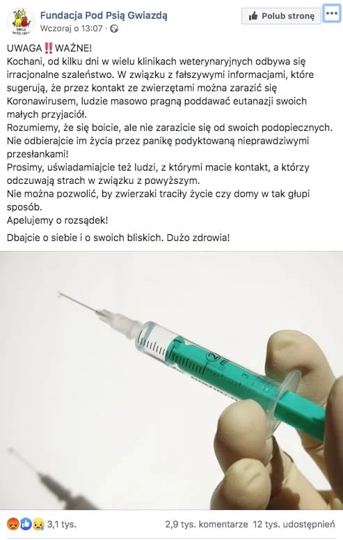 Masowe prośby o eutanazję zwierząt domowych