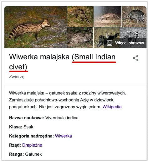 wiwerka malajska - Wikipedia