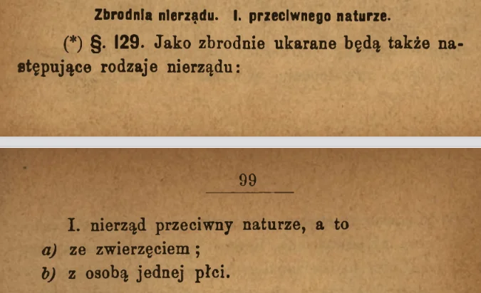 polska homo jedyny