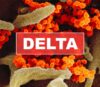 Wariant Delta groźniejszy dla osób zaszczepionych? Nieprawda