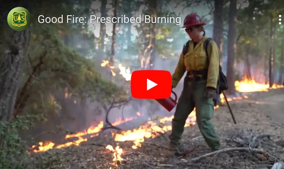Good Fire: Prescribed Burning