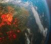 NASA nie przyznała, że za globalne ocieplenie odpowiada układ Słońca wobec Ziemi, a nie działanie człowieka