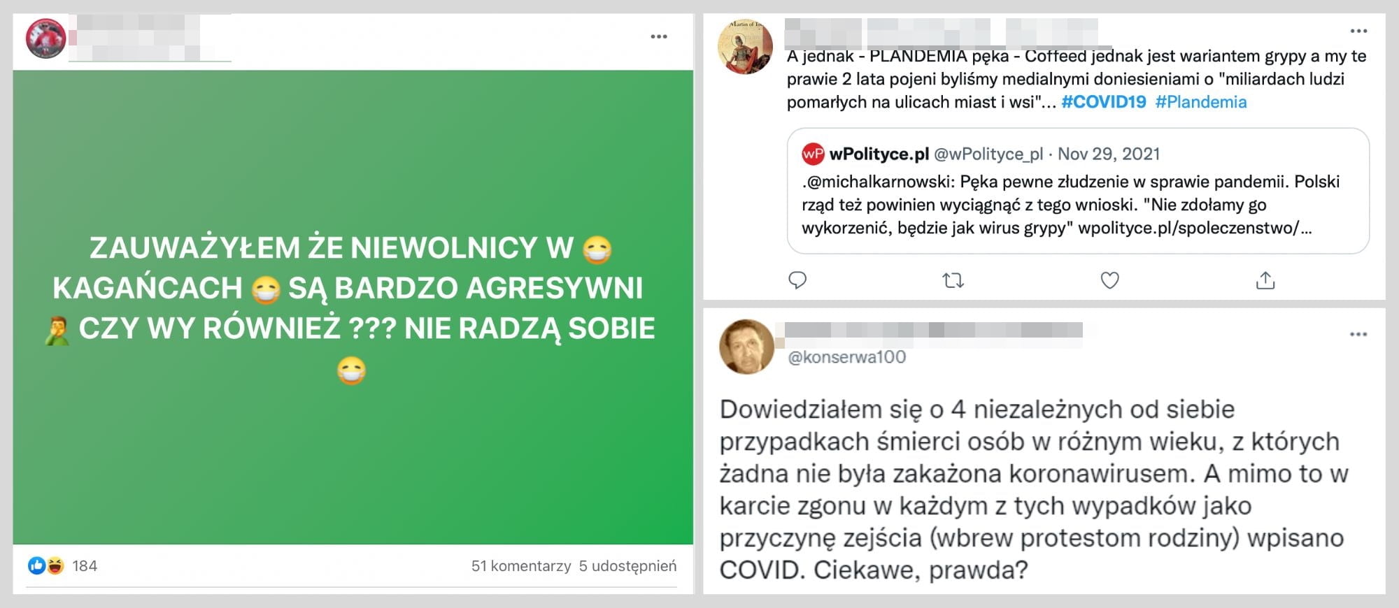 Ruch antyszczepionkowy, a propaganda prorosyjska w mediach społecznościowych. Raport