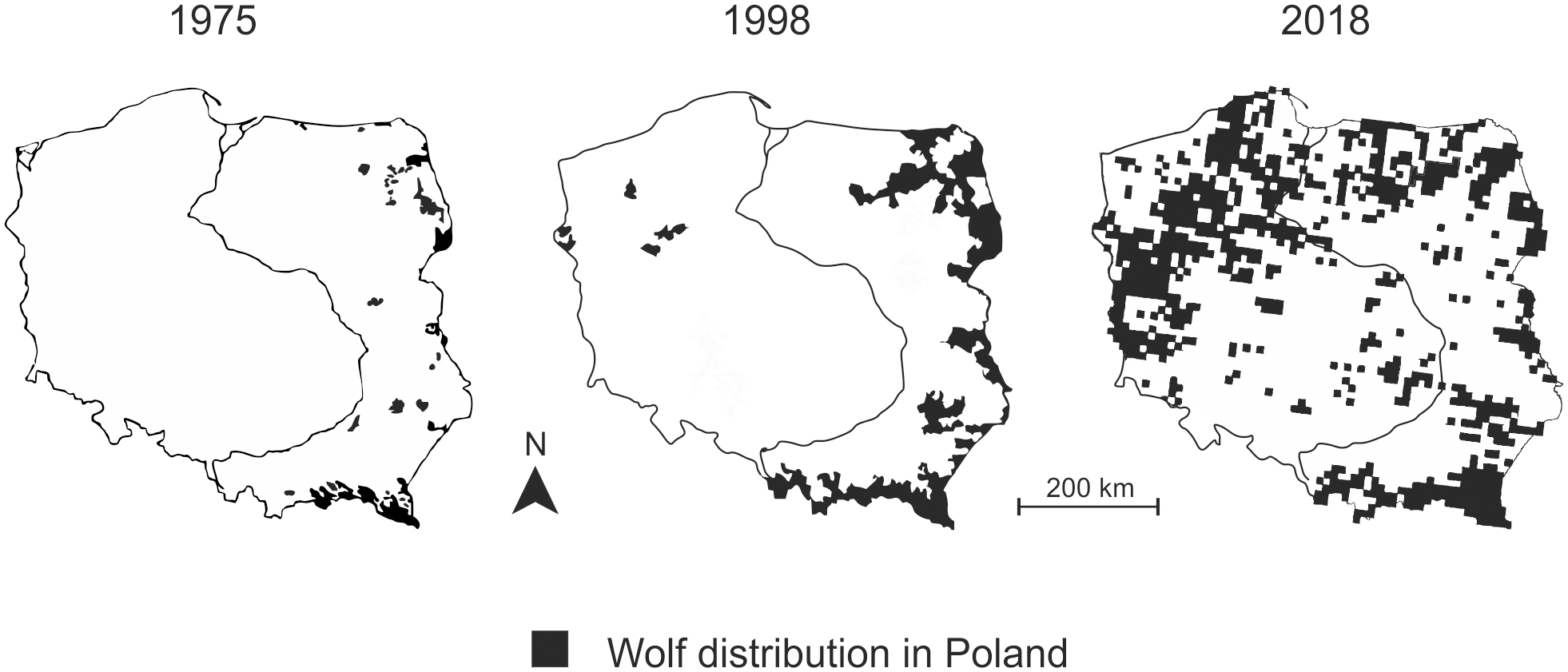 rozmieszczenie wilka w Polsce