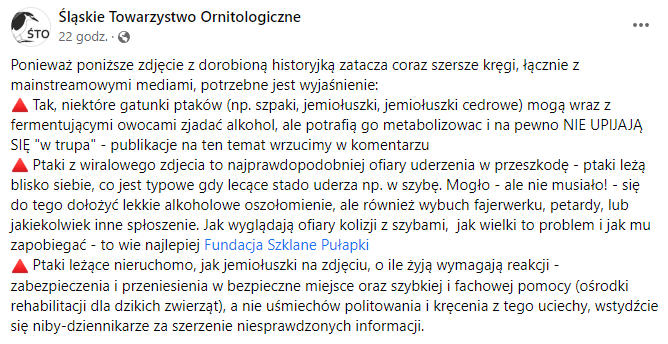 Śląskie Towarzystwo Ornitologiczne