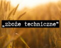 Geneza terminu „zboże techniczne”