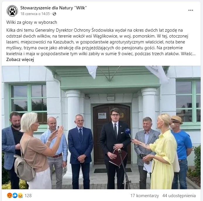 Wilki za głosy w wyborach