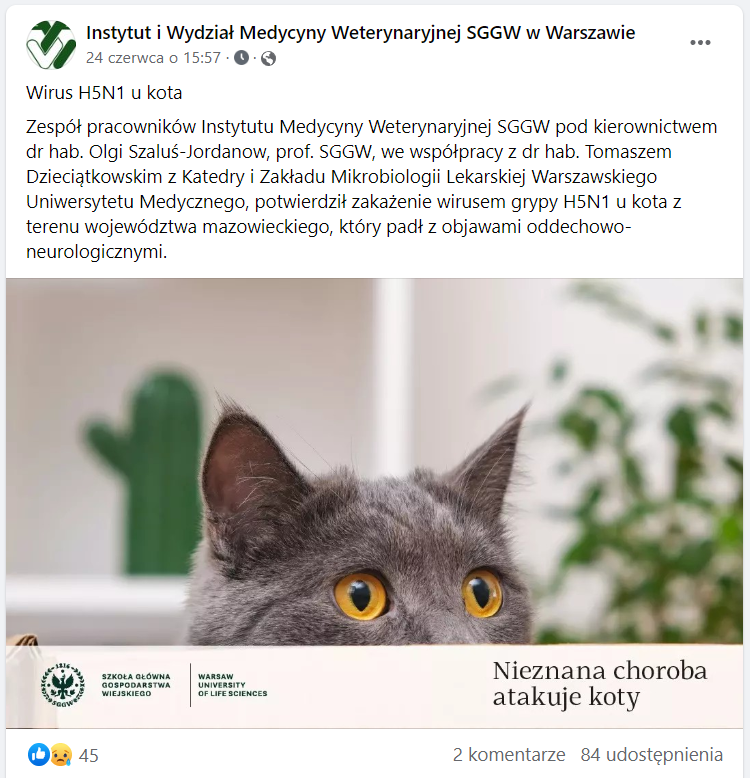 choroba kotów H5N1 SGGW