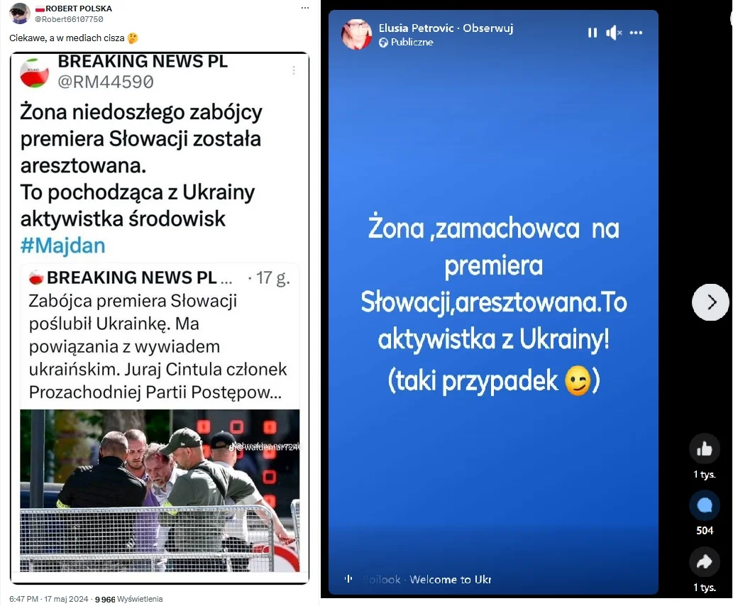 Elusia Petrovic o zamachowcu