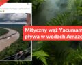 Mityczny wąż Yacumama nie pływa w wodach Amazonii