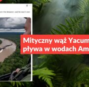 Mityczny wąż Yacumama nie pływa w wodach Amazonii