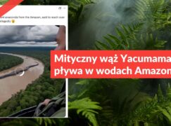 Mityczny wąż Yacumama nie pływa w wodach Amazonii