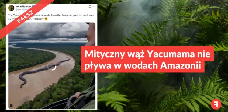 Mityczny wąż Yacumama nie pływa w wodach Amazonii