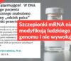 Szczepionki mRNA nie modyfikują ludzkiego genomu i nie wywołują raka