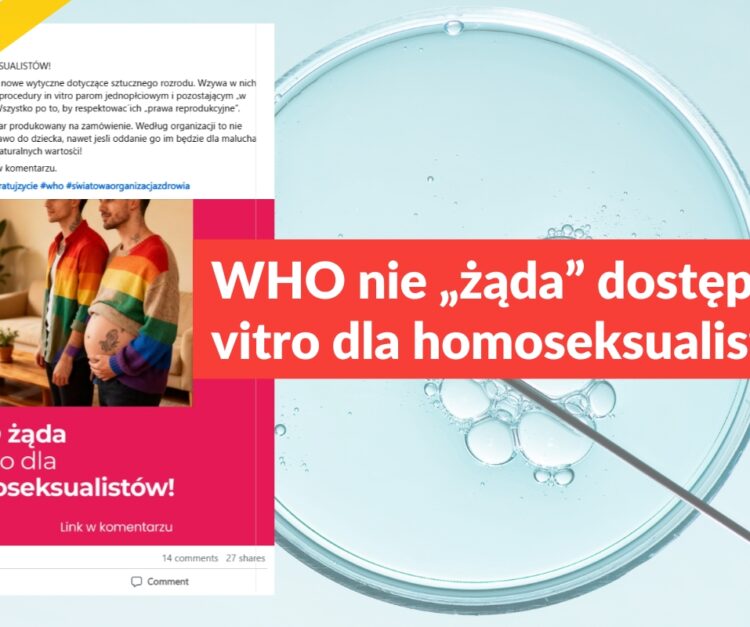 WHO nie „żąda” dostępu do in vitro dla homoseksualistów