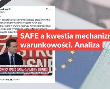 SAFE a kwestia mechanizmu warunkowości. Analiza