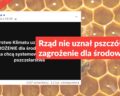 Rząd nie uznał pszczół za zagrożenie dla środowiska