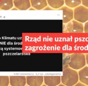 Rząd nie uznał pszczół za zagrożenie dla środowiska