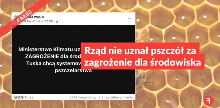 Rząd nie uznał pszczół za zagrożenie dla środowiska