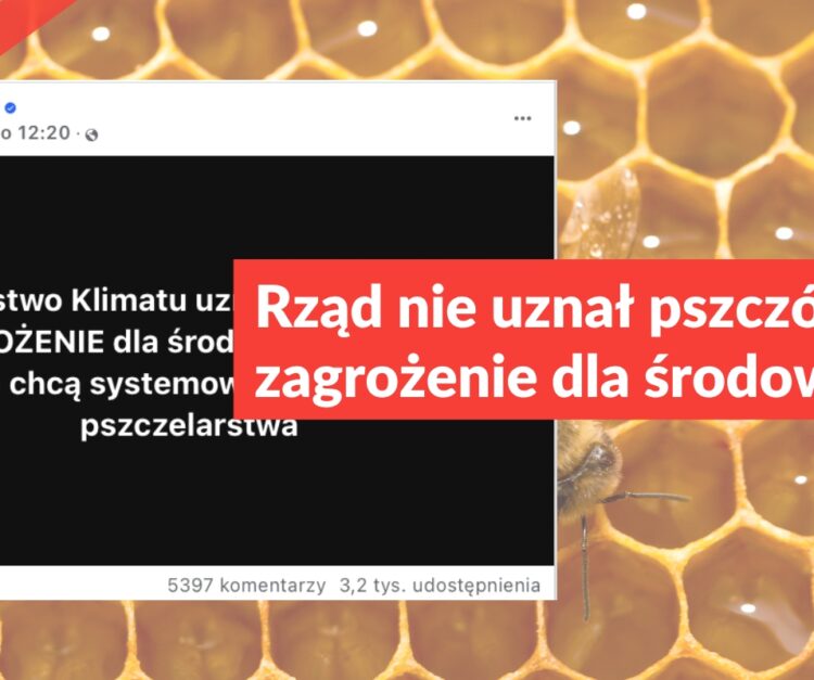 Rząd nie uznał pszczół za zagrożenie dla środowiska