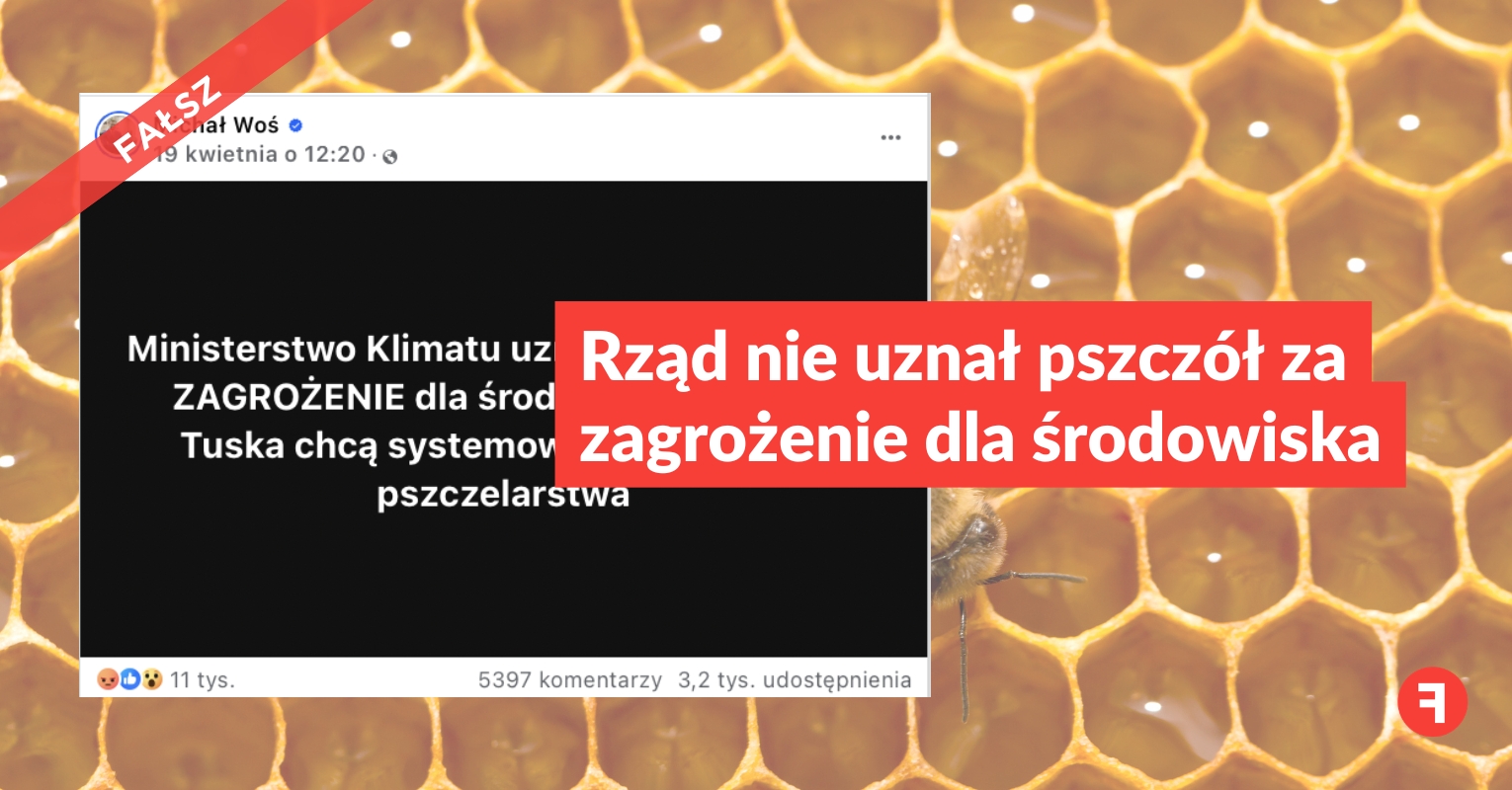 Rząd nie uznał pszczół za zagrożenie dla środowiska