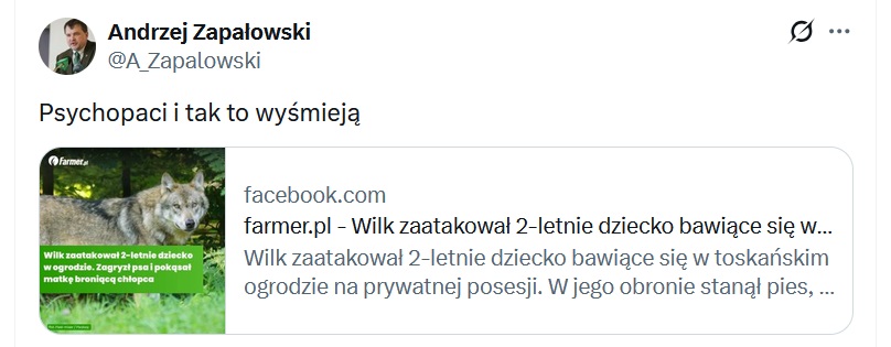 Wilk zaatakował dziecko